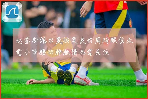 赵睿斯佩尔曼恢复良好周琦眼伤未愈小曾腰部肿胀情况需关注